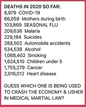 Statistics World Wide - Fatalities Corona Virus - Copy.jpg